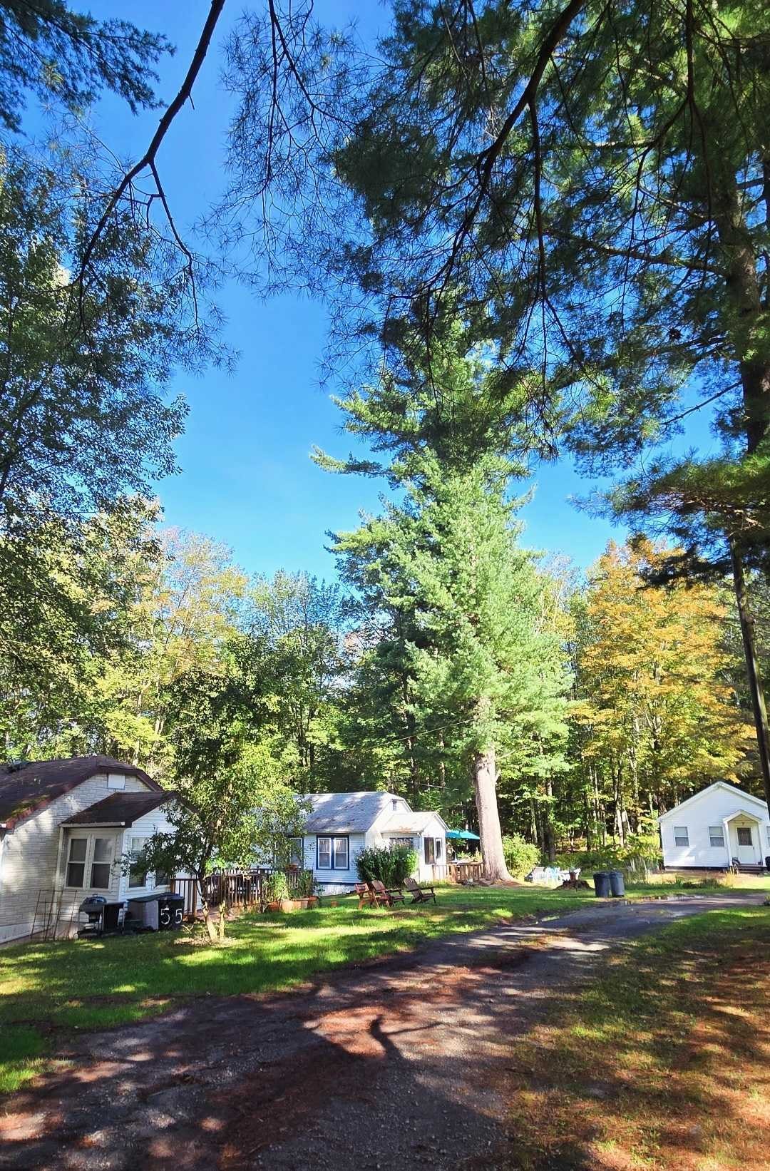 Bungalows along a tree-lined lane at Carefree Acres