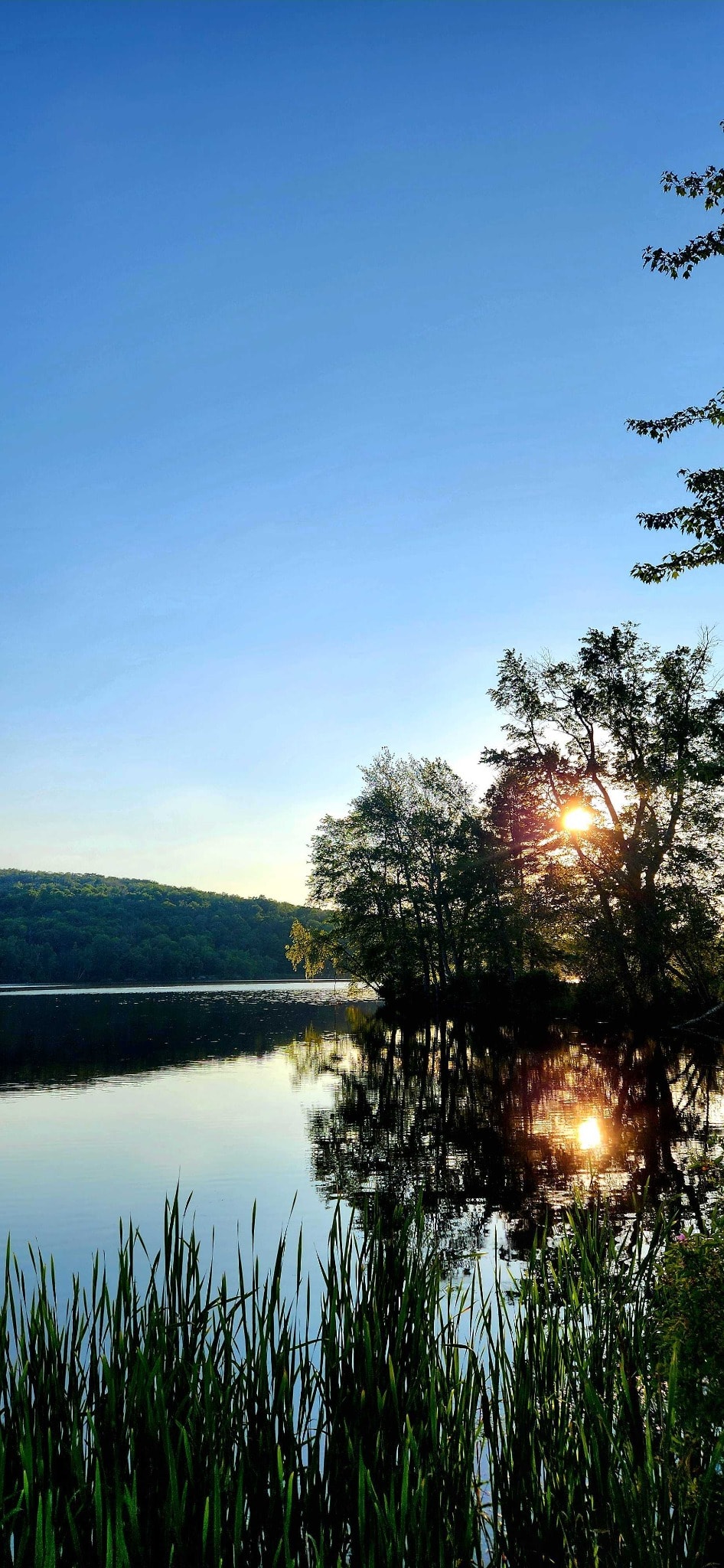 Sunset reflection on Swan Lake